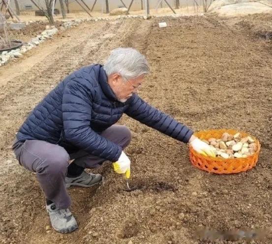 韩国总统是高危职业，不是被暗杀就是被舆论压力逼死，大多数是啷当入狱。而文在寅卸任