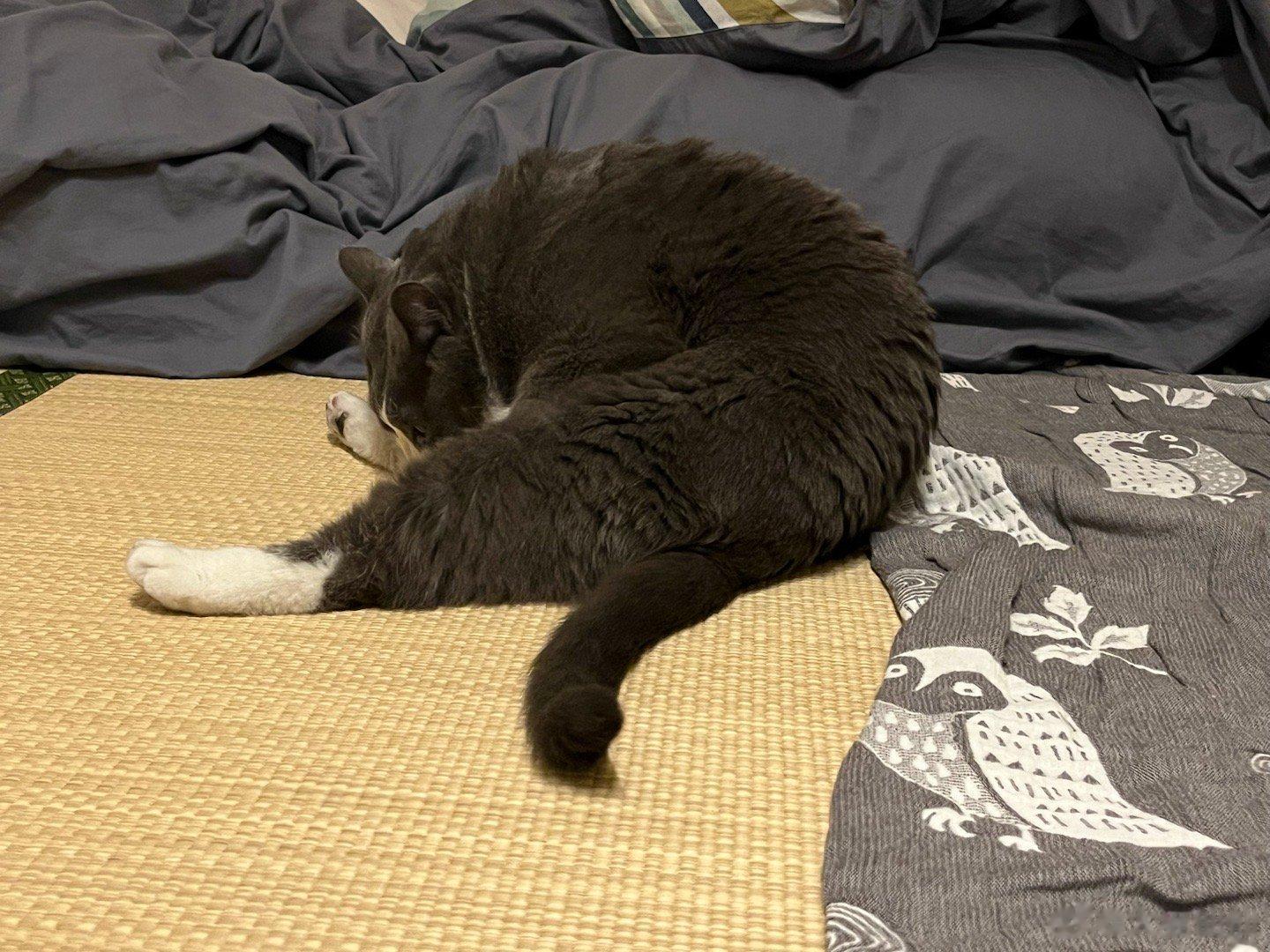  啃jio吸屁 ​​​