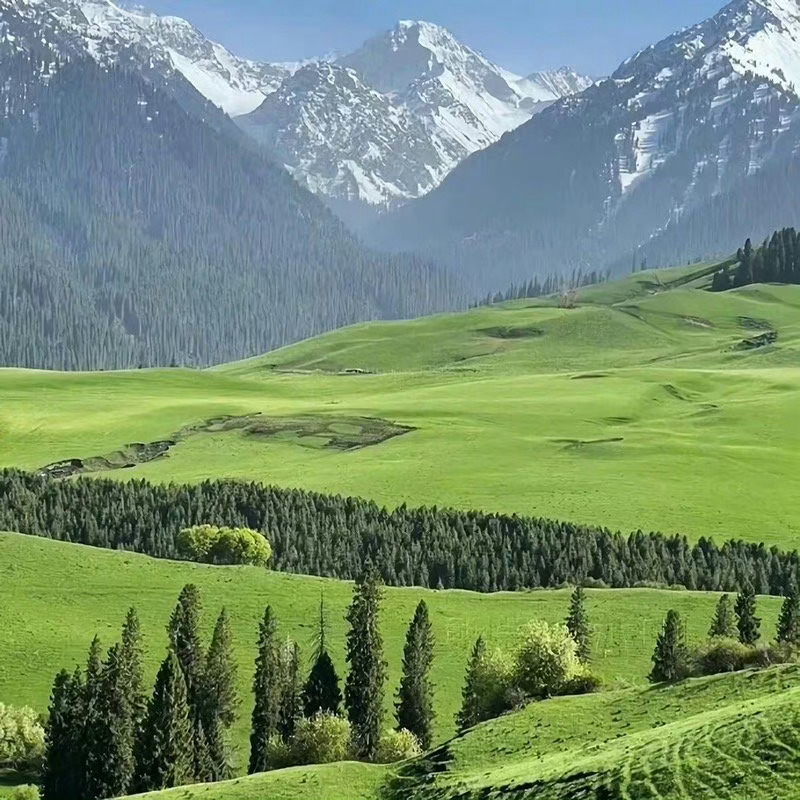  这不是我想要的生活但却是我自找的生活我没有心事可讲 我的心酸不可告人 ​​​​