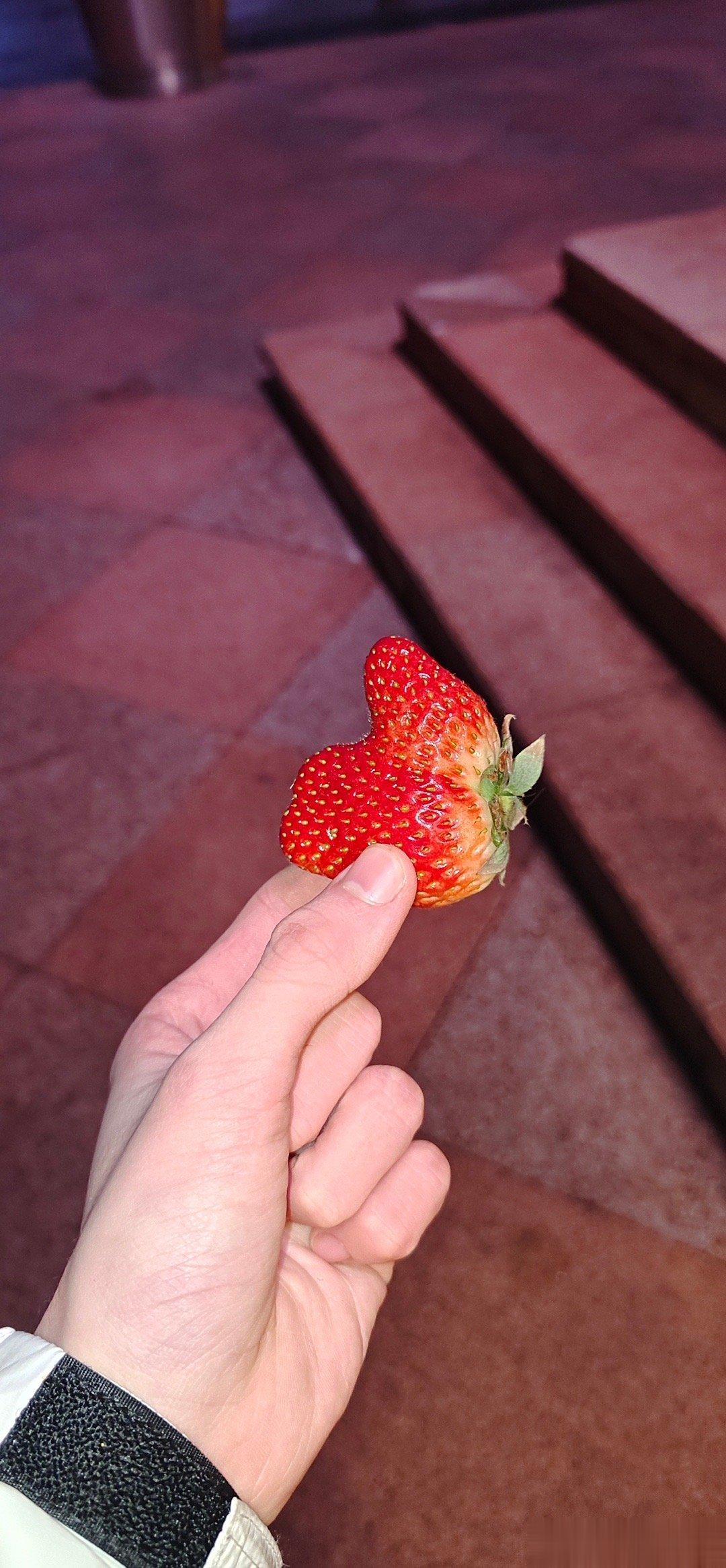 #阳光信用[超话]#[太阳]#阳光信用# [太阳]#阳光信用 每日一善# 善良是