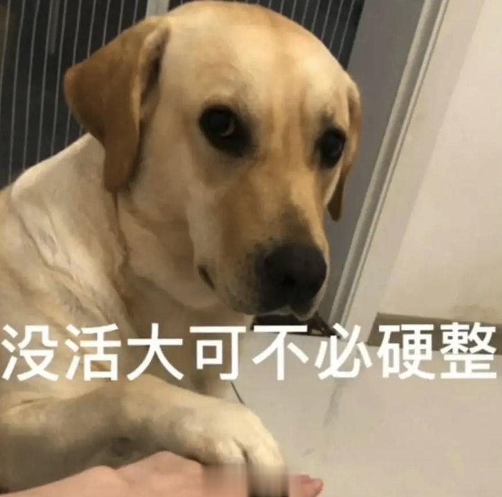 <p>老人家确实可以，希望能多