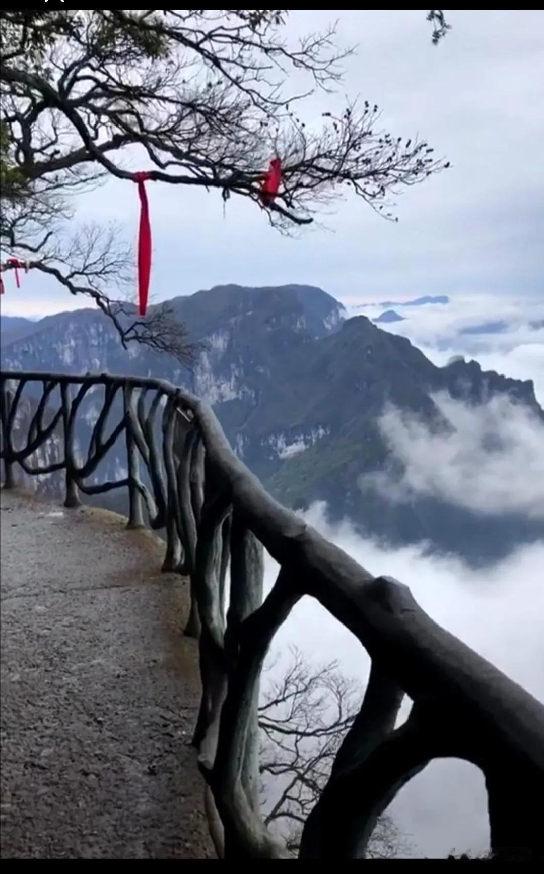 张家界四个年轻人抱团自杀，说实话，非常让人震惊。
年纪轻轻，前面还有大好前途等着