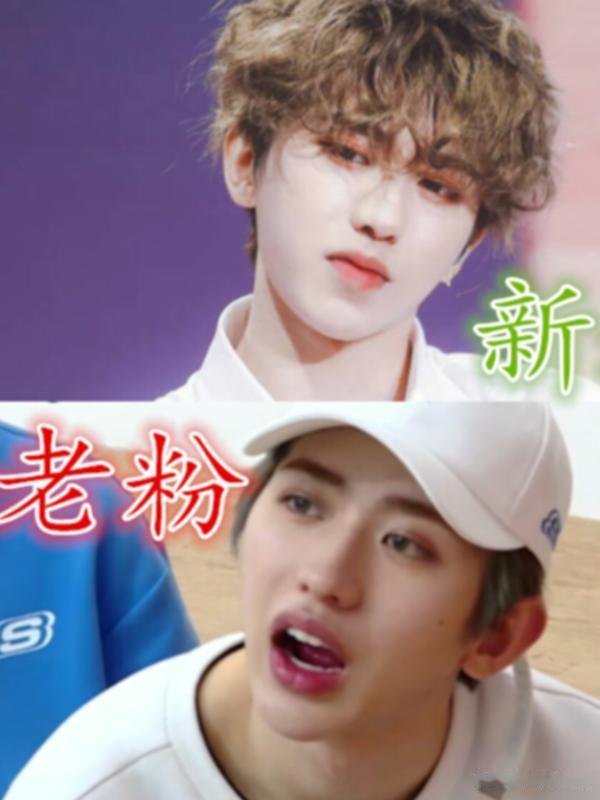 新粉VS老粉眼中的明星，躲过蔡