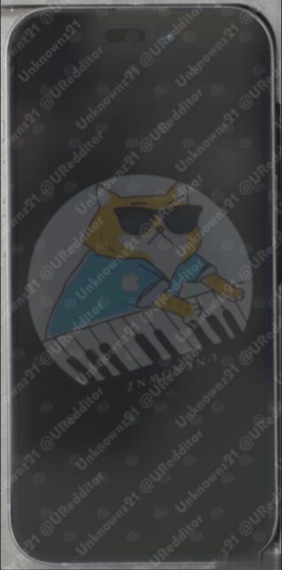 苹果 ，外观无太大变化

推特知名爆料者“UReddito”周三发布了一组基础版