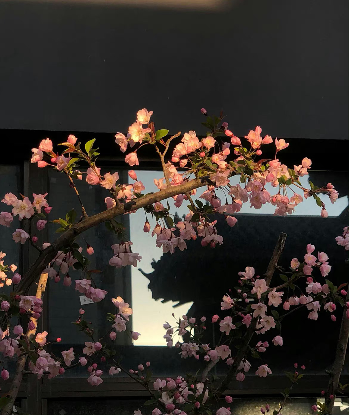  -🦋ʜєʟʟɵ!!生活嘛，就是不断接受现实，承认自己的平凡，努力的朝前走，该