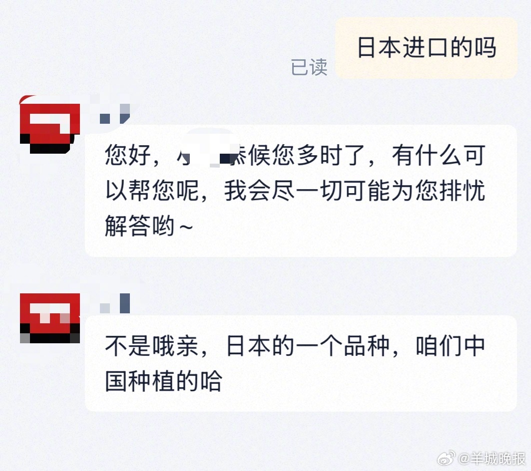 【#300元一斤的日本黑草莓实为国产#】近日，一种售价高达300元一斤的“黑草莓