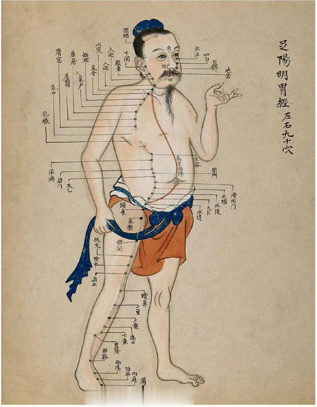 针灸图表水彩画（1700-1799年） ​​​