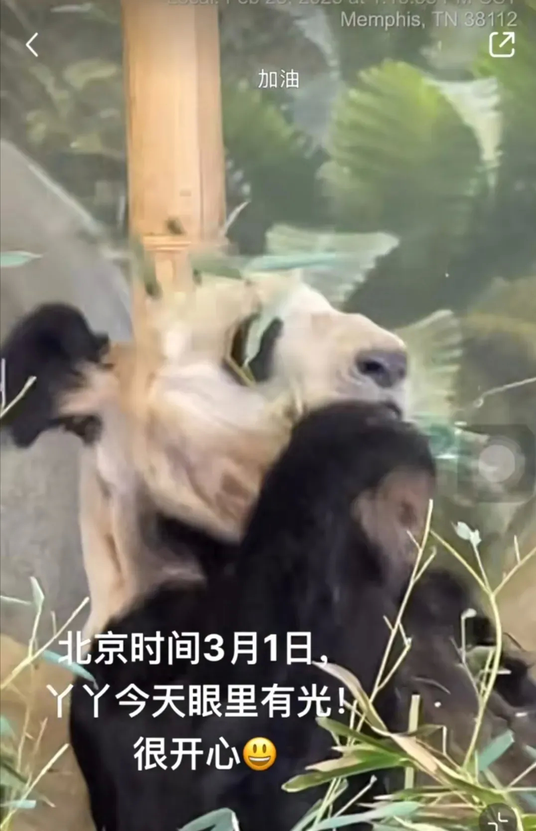 今日我若冷眼旁观，他日祸临其身，则无人为我呐喊或许我们的呐喊无法改变什么，但是不