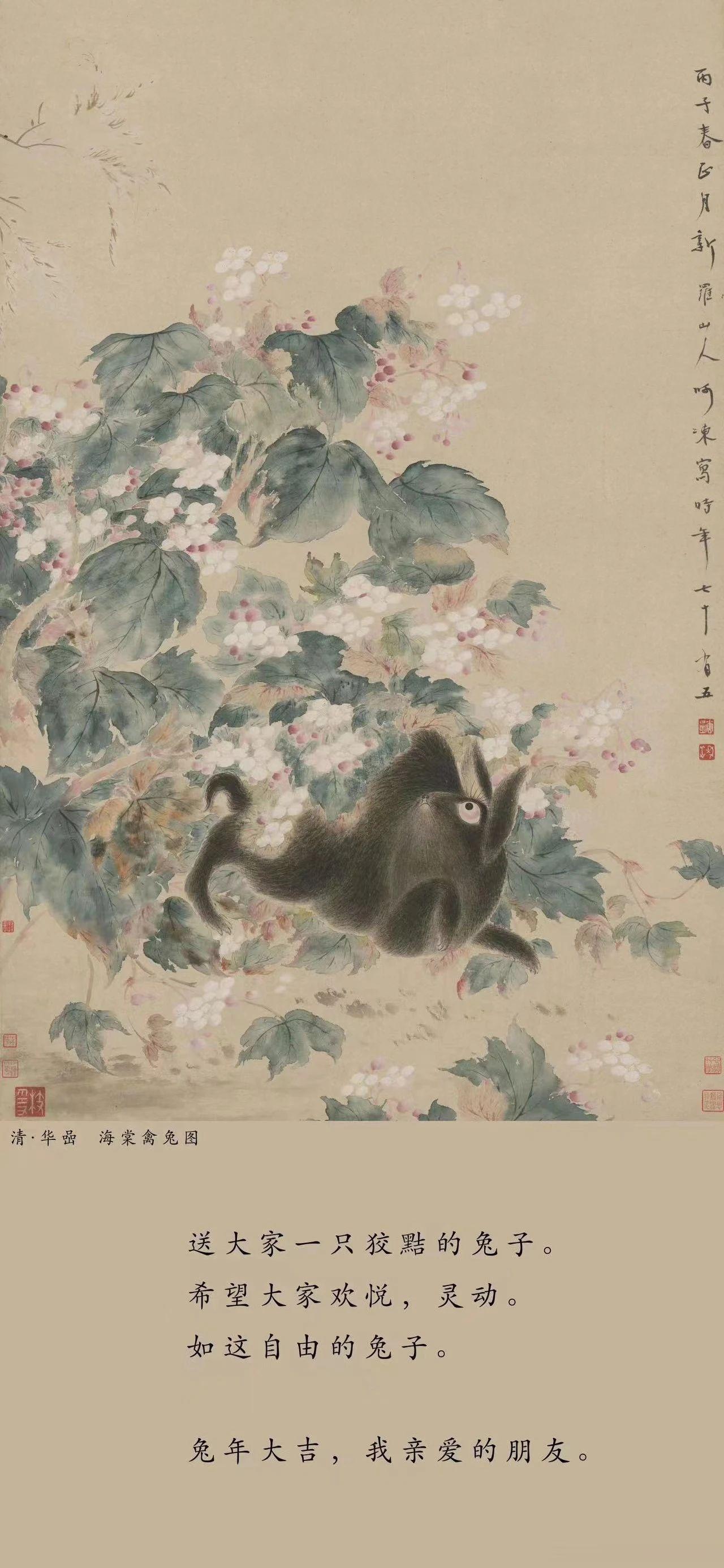 送大家一张狡黠的兔子​小朋友看