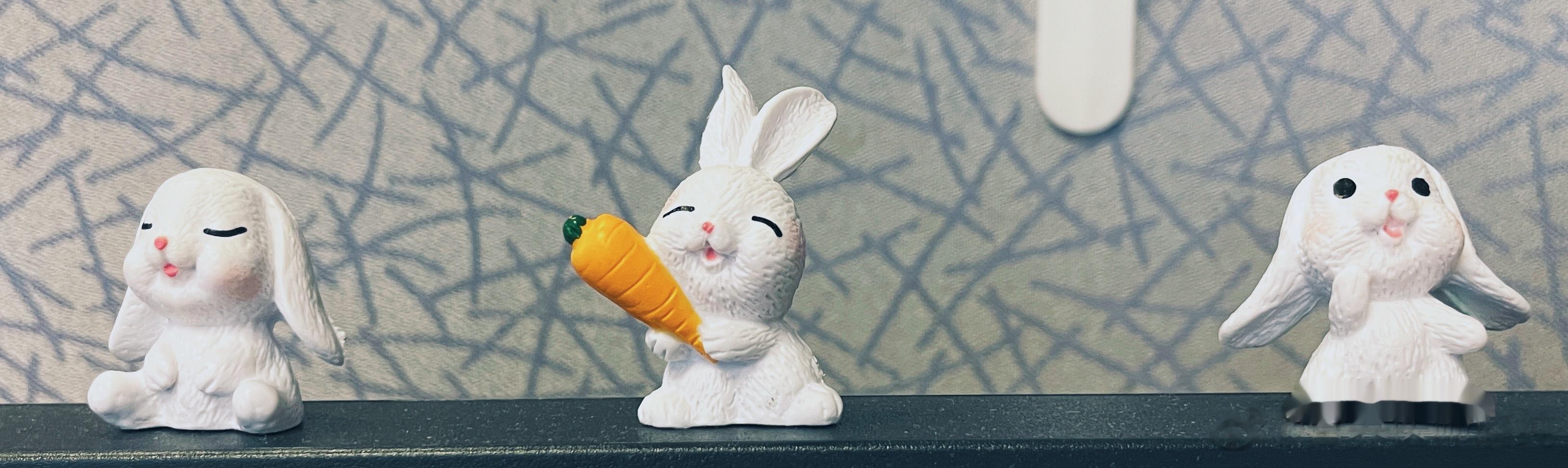 你未必光芒万丈，但你温柔有光 