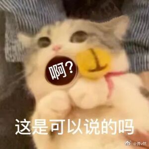 一些感受:有些blue v，就那个xx网评，真正需要你们发声的时候，装聋作哑，假