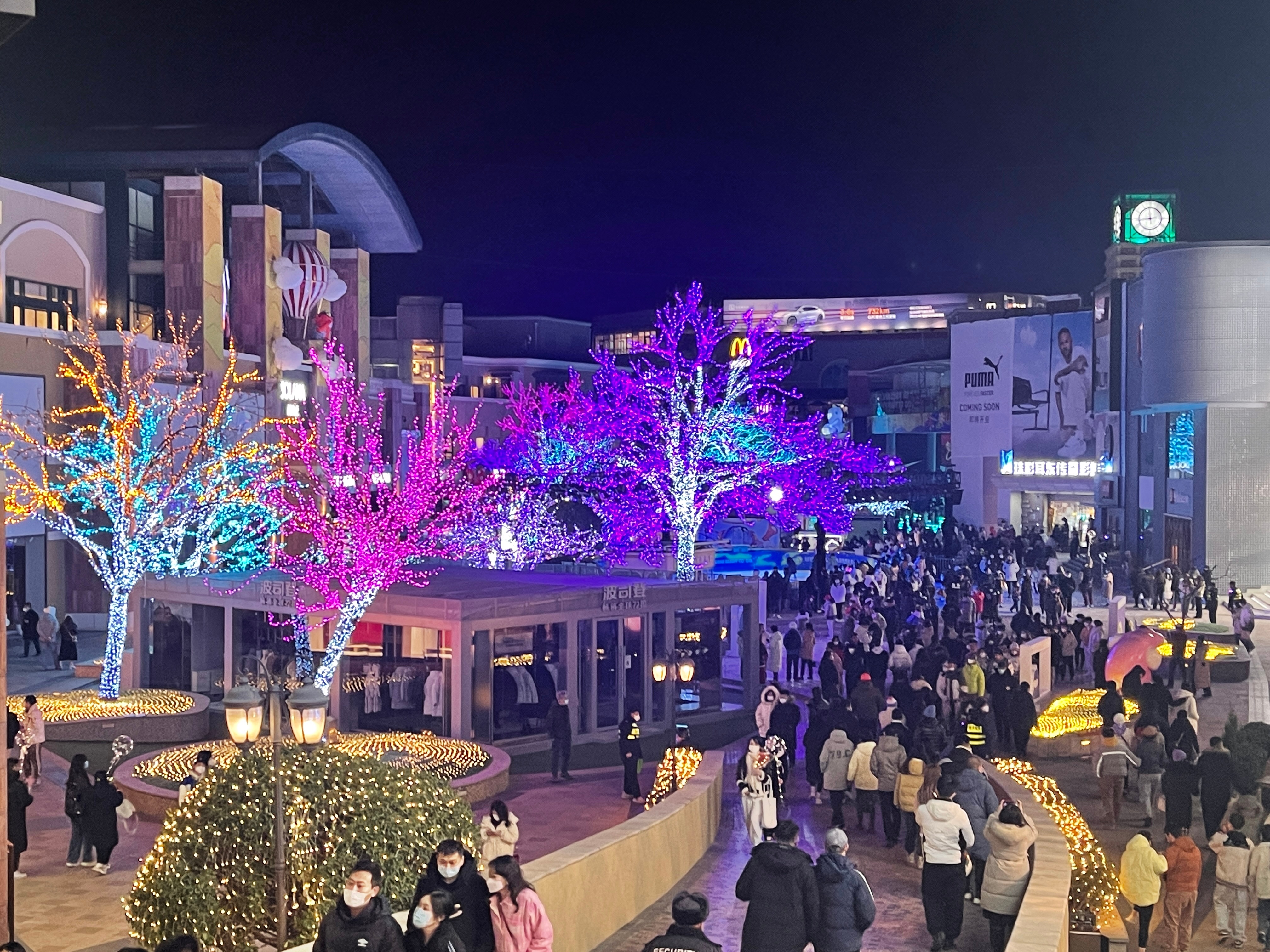 <p>新年快乐啦，今年大家都有