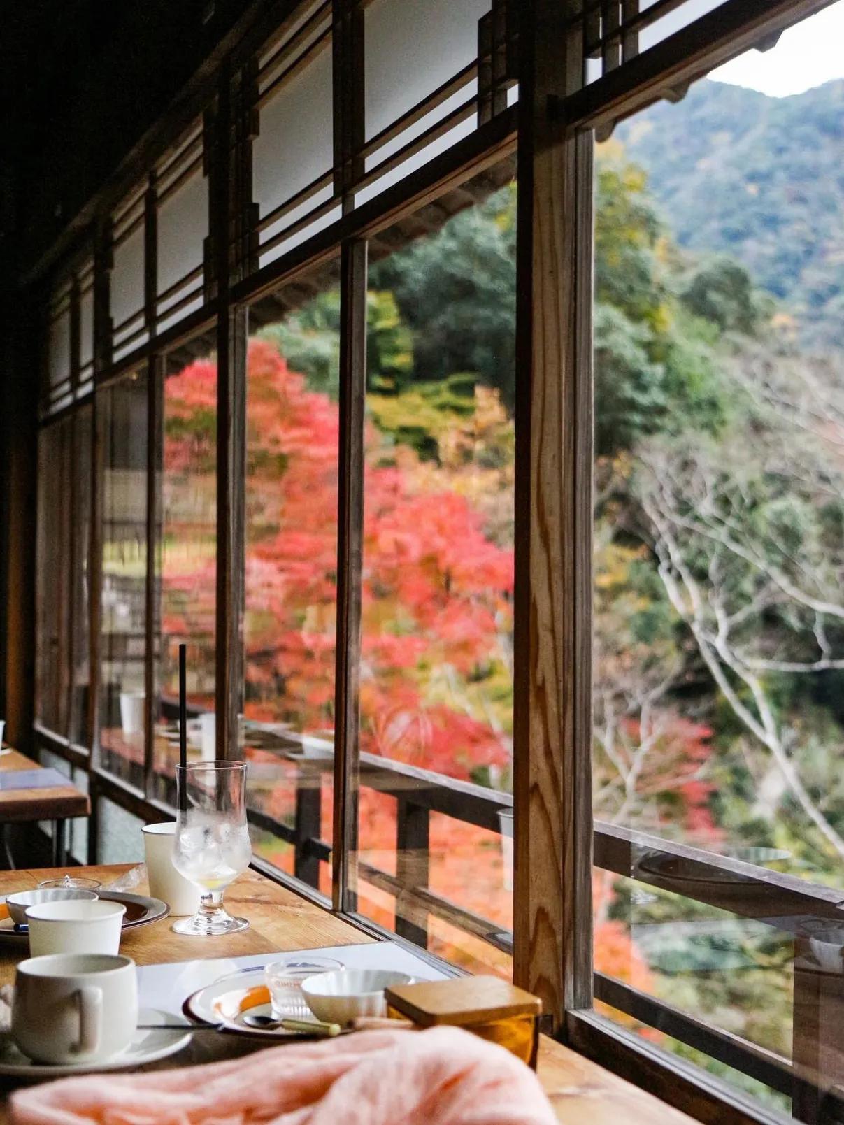 日本✨view超棒的百年悬崖咖啡厅·窗景绝了
准备去日本游玩的朋友看这里～今天为