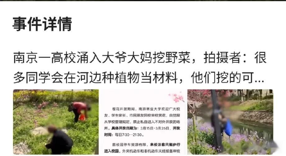 这是把高校当成了野生的“菜园子”吗？原本是学校的一番好意，却被大爷大娘们的行为“