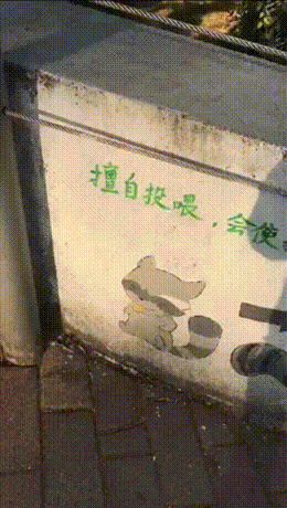 【请勿擅自投喂】墙上的标语已经