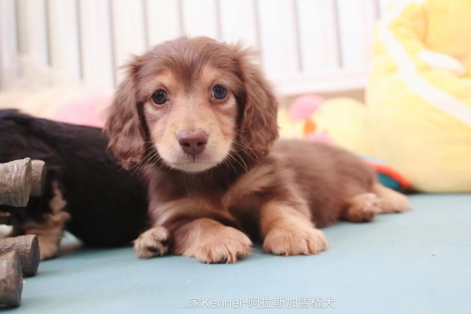 在看什么？ ​​​