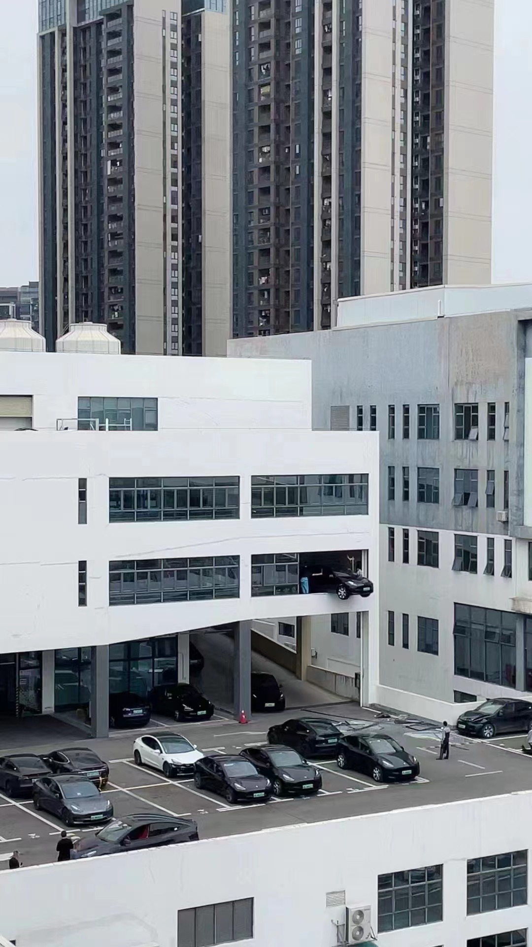 “你要飞啊.jpg” ​​​