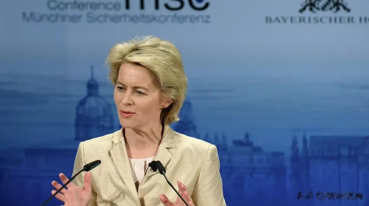 在法国举行的欧洲议会全体会议上，欧盟委员会主席冯德莱恩表示，欧盟在关键资源方面对