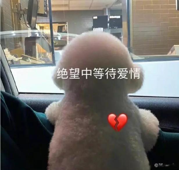 狮子座和处女座看起来是截然不同