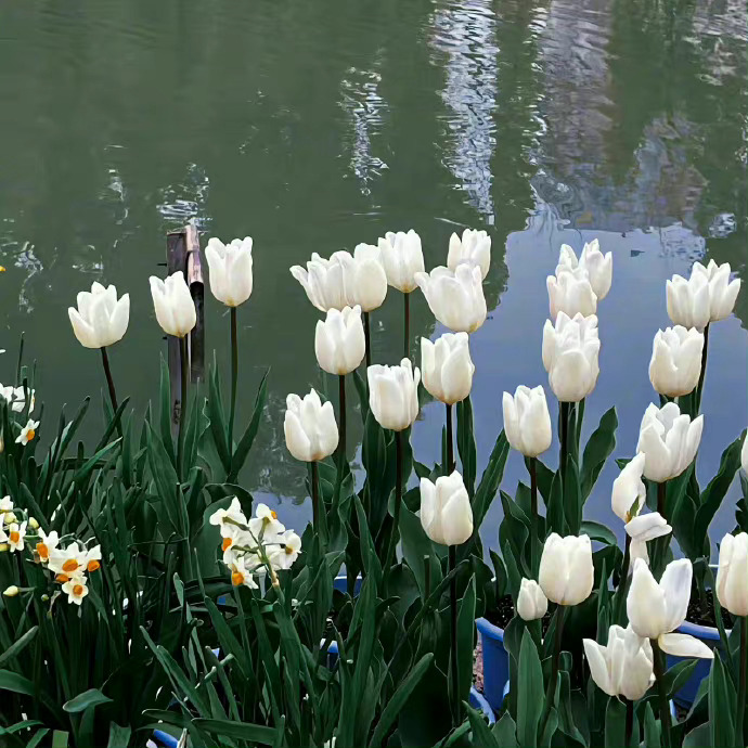  今天心情不好 也不是今天 也不是心情不好 是我不好 ​​​