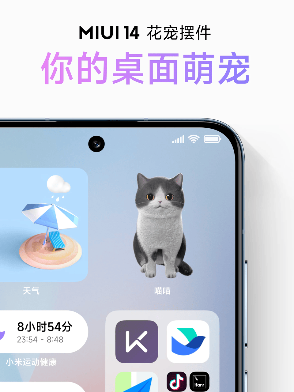 MIUI14支持桌面养猫
雷总