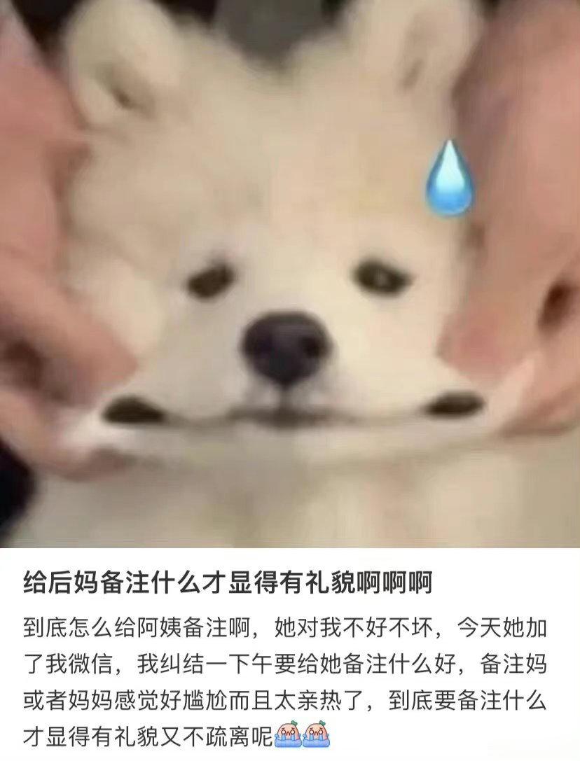 给后妈备注什么才显得有礼貌啊 ​​​