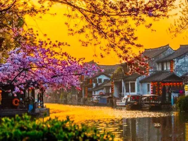 分享图片——西塘古镇梦里水乡，处处好风光。
