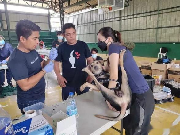 狗说：我要不要尊严了啊！！！！