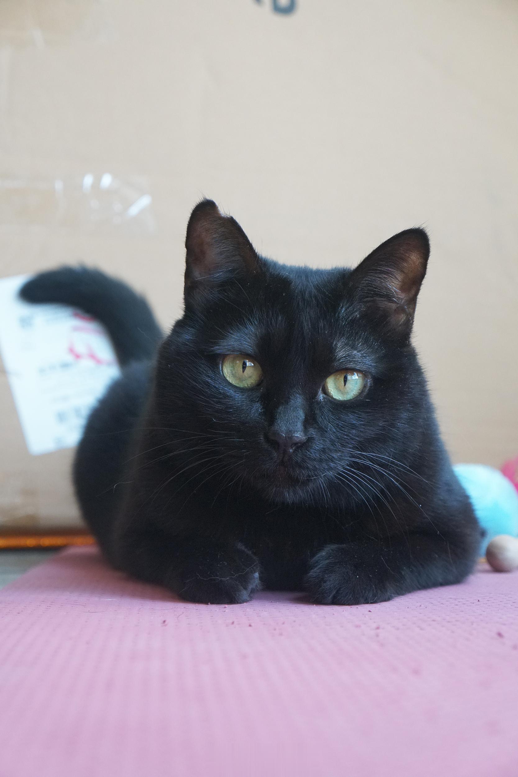 94那麼口愛 ​​​