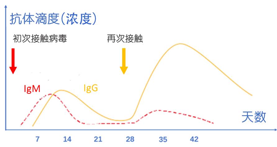 春节为什么没有出现第二波疫情，