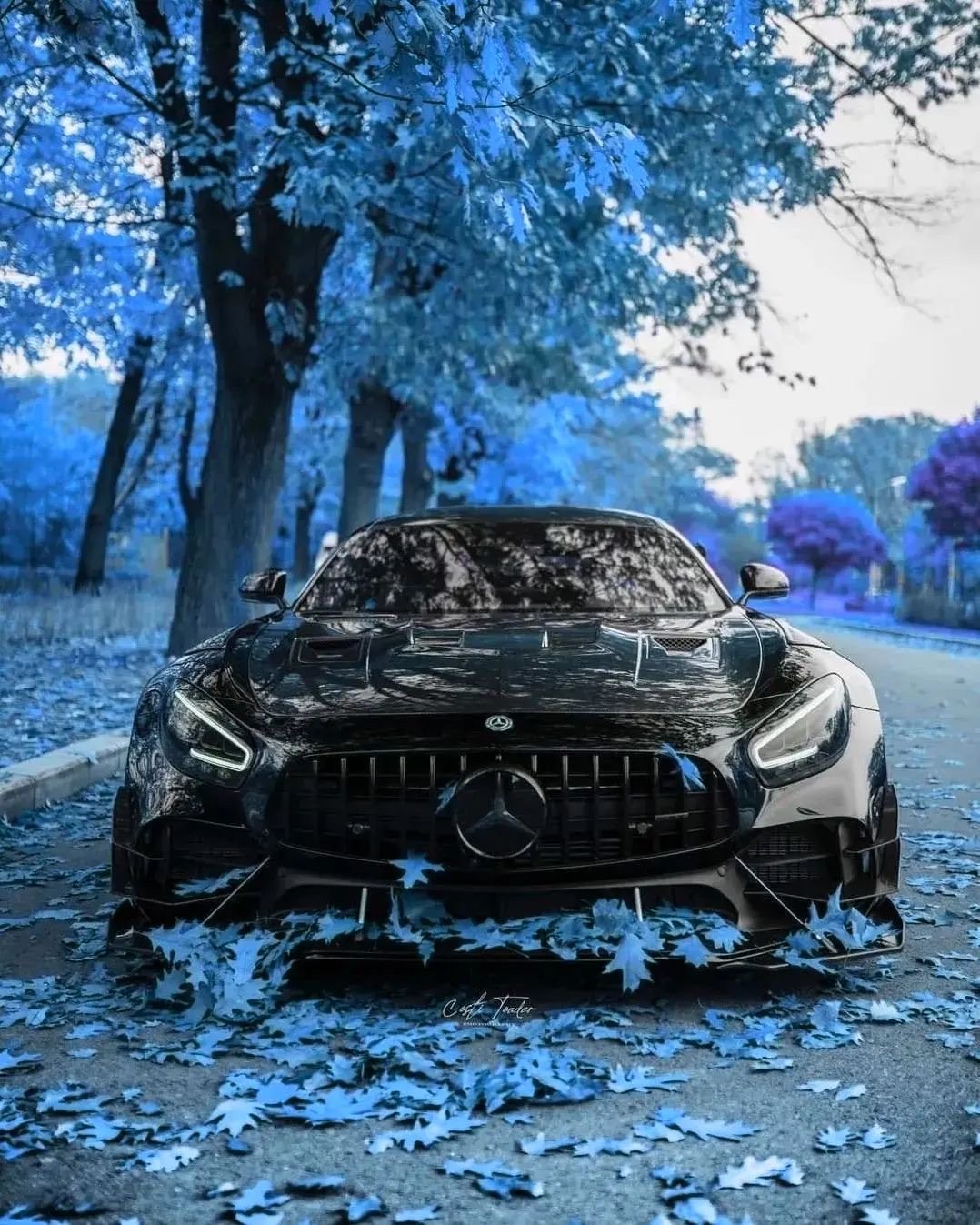 Mercedes-AMG GTR PRO ​​​