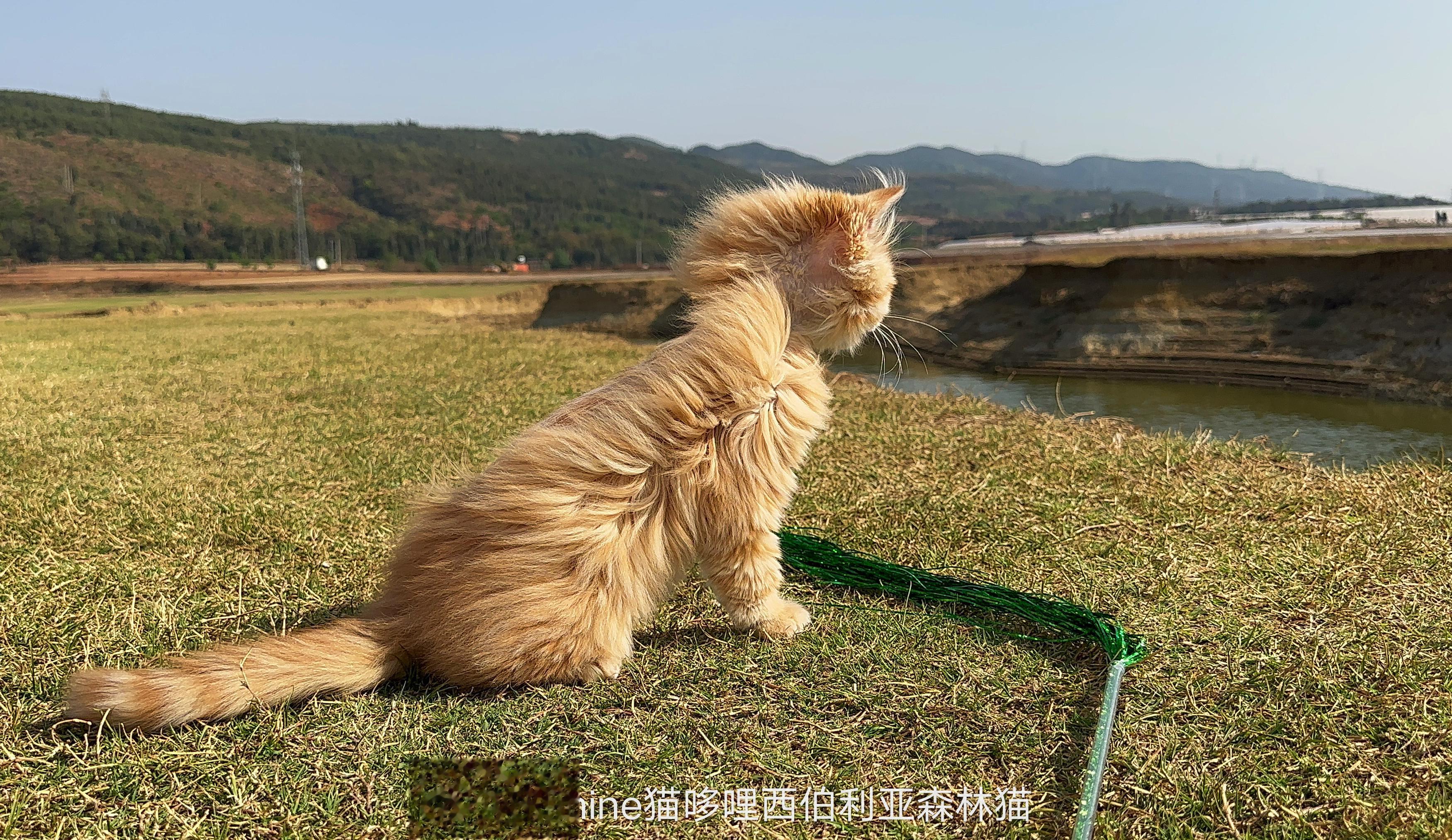 抬头就快三点了，每天都有干不完的活[苦涩]停不下来星人，就算家里请十个阿姨，会不