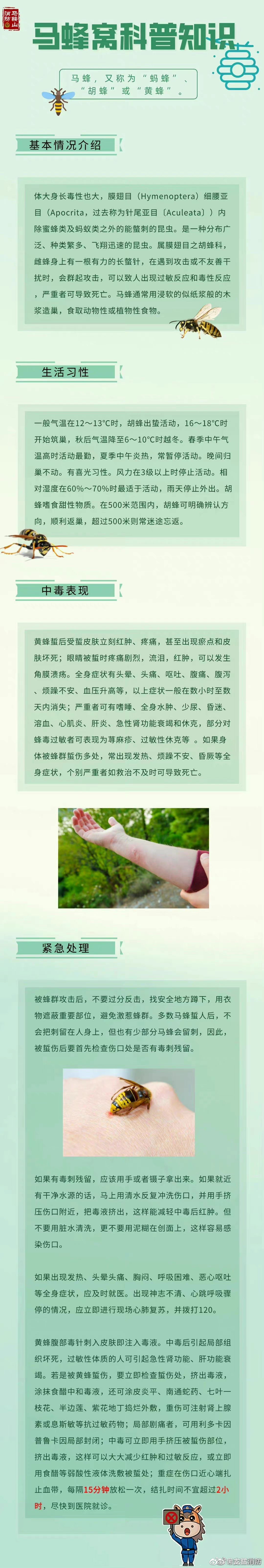 【马蜂出没，警惕“飞来横祸”】