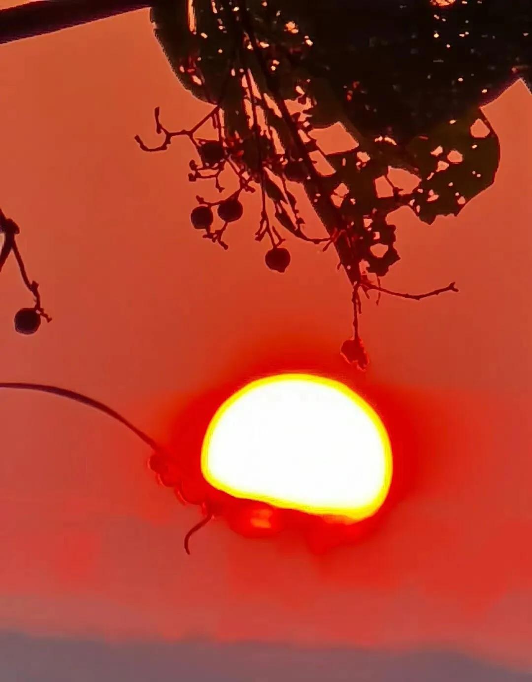 今年是黑兔年，也是我的本命年。《推背图》有云：“黑兔走入青龙穴，欲尽不尽不可说。