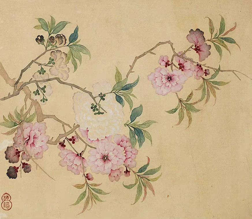 “ 花卉册 …”丨柳如是 · 绘 ​ ​​​
  