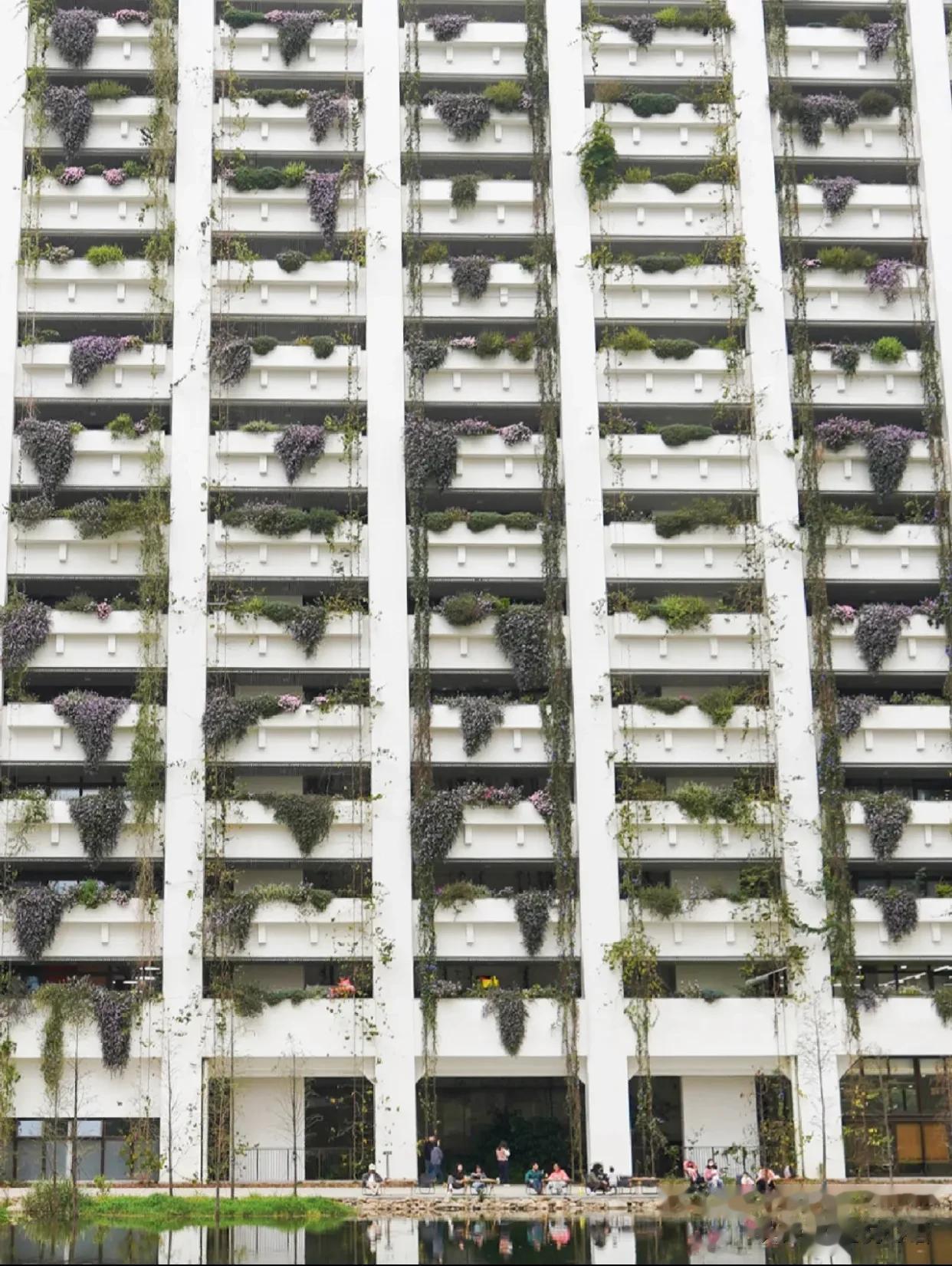 深圳人好会享受，在湖边建了座办公大楼。
就在宝安中心区附近
有一座种满绿植的白色