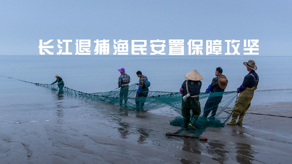 发布了头条文章：《倾情倾力暖民