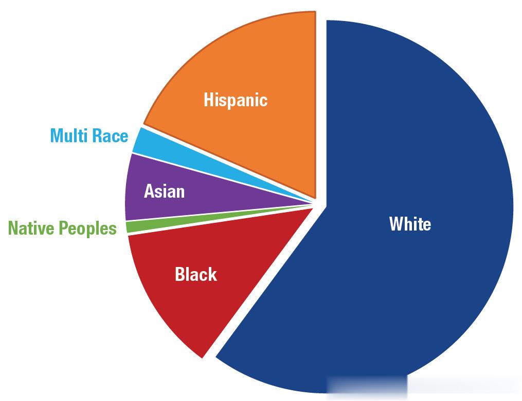 亚裔人口占美国人口约6%， 华人占亚裔人口24%。亚洲人将是美国未来移民增长最快