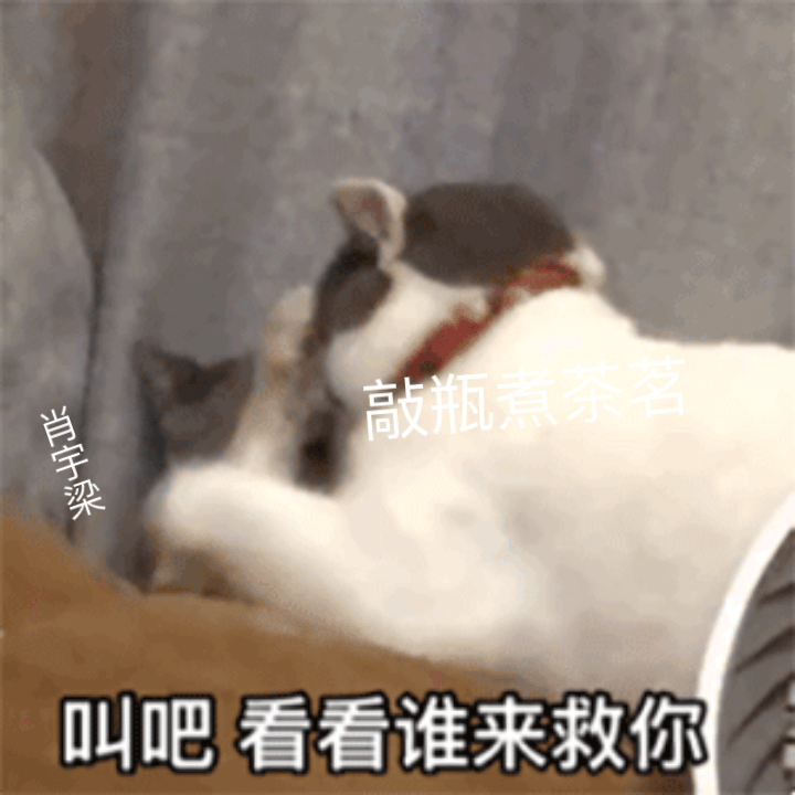 嘿嘿嘿 晒木木给我做的表情包[害羞][害羞]​​​