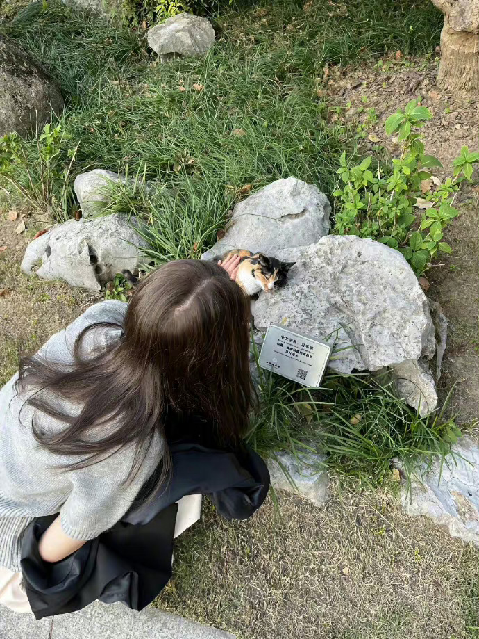  ᴵ ʰᵃᵛᵉ ⁿᵒᵗ ʰᵉᵃʳᵈ ᵒᶠ ᵗʰᵉ ʲᵒʸ ᵒᶠ ᶠˡᵒʷᵉʳˢ,