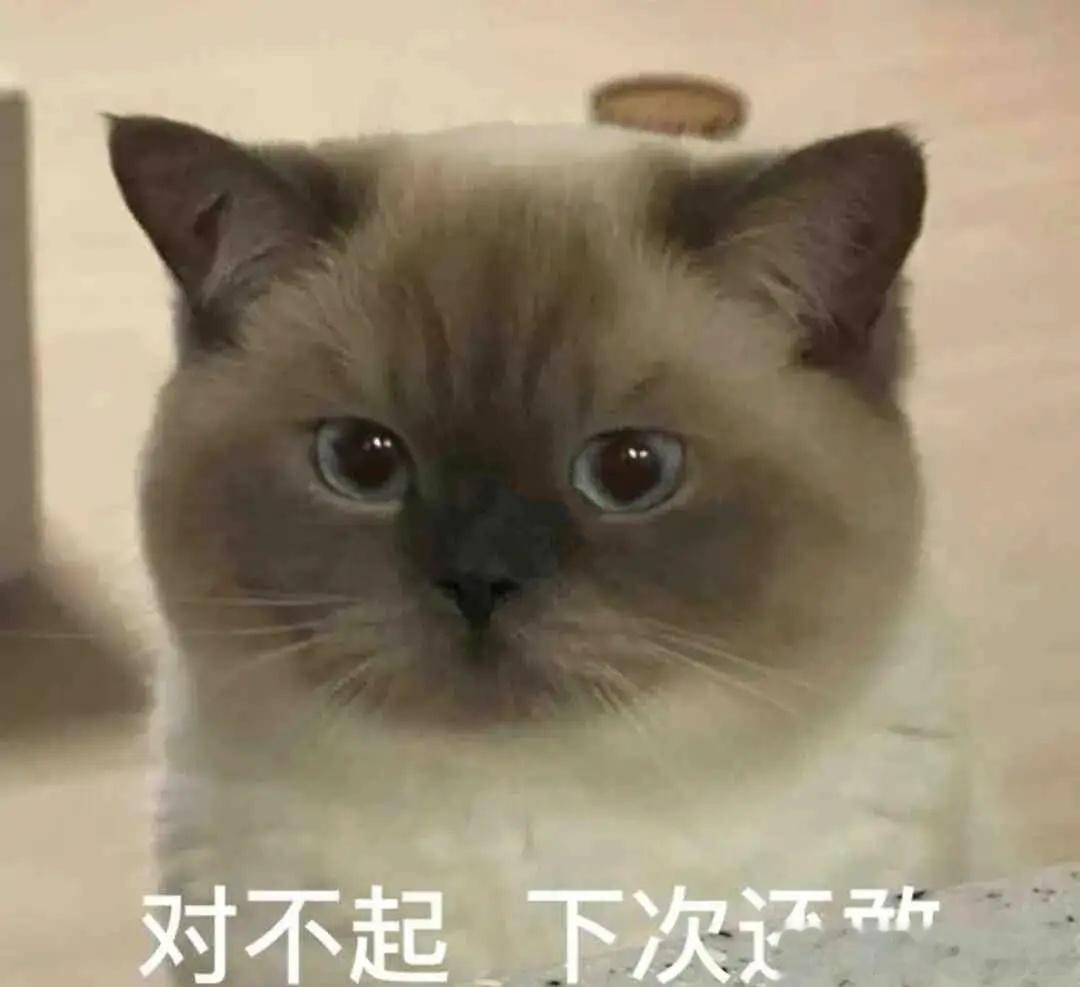  我现在高低还是有点慌的，感觉中通的快递员马上就要用的表情给我打电话了，昨天先期