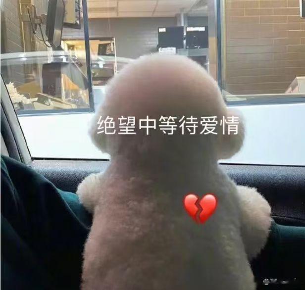 狮子座和处女座看起来是截然不同