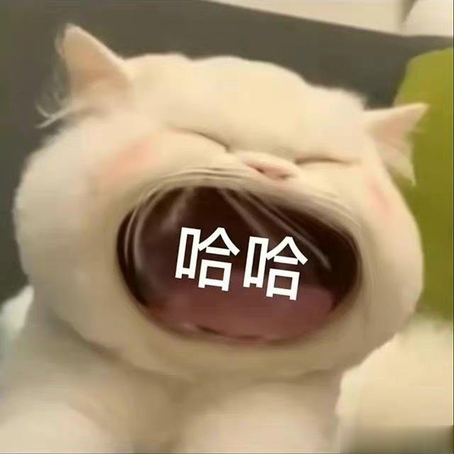 卫星的销量感觉肯定会很低吧优惠几百万也买不起啊，关键是用不着。 ​ ​​​