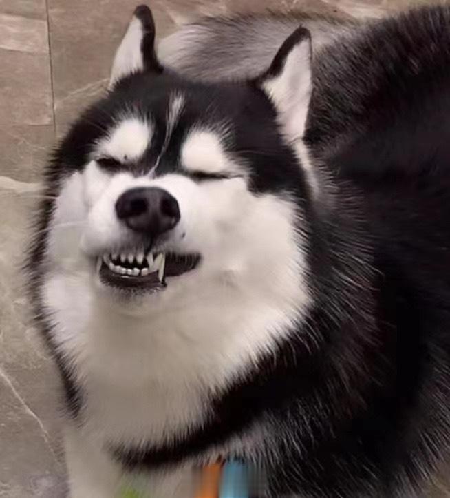  ​​​