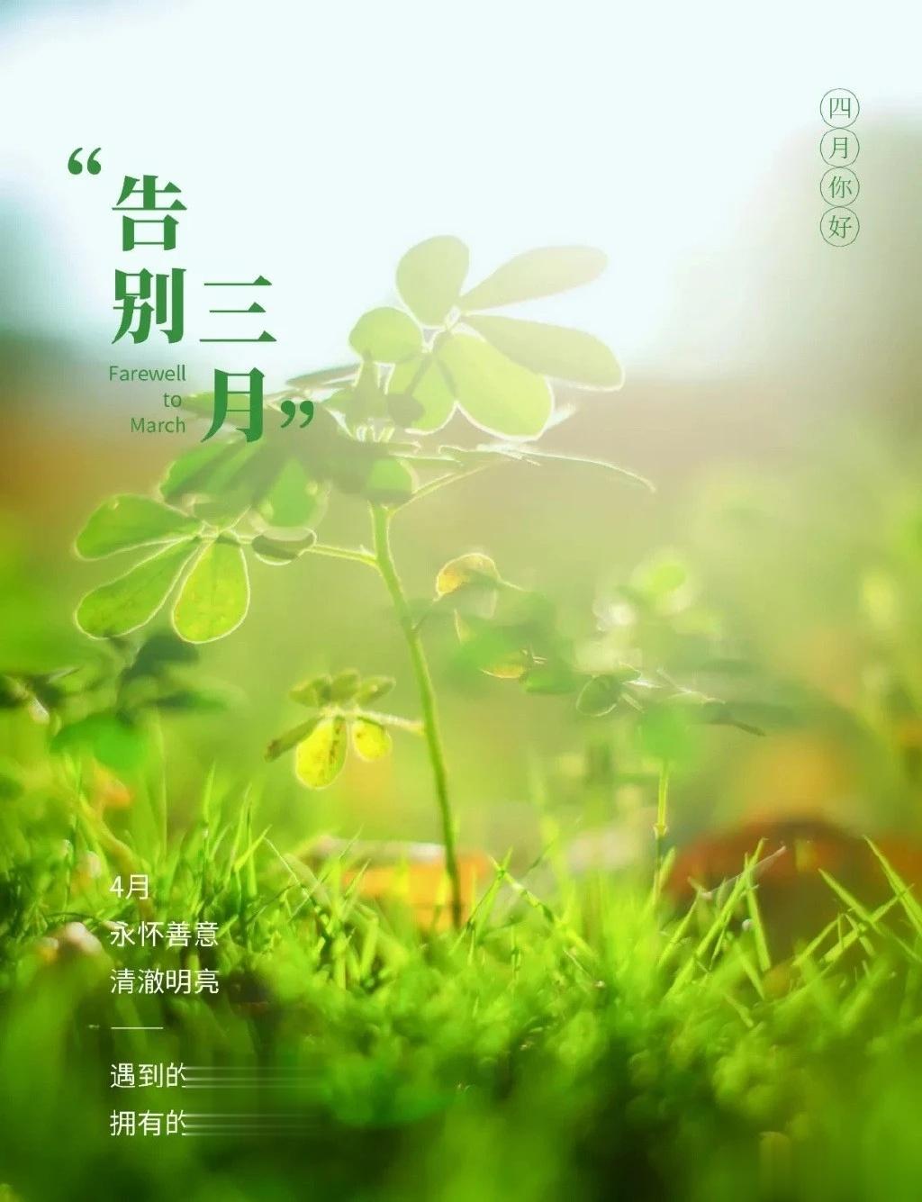 生命就是一朵花，静静地开，悄悄地落，细品深悟漫漫人生路，方知道平安是真，健康是福