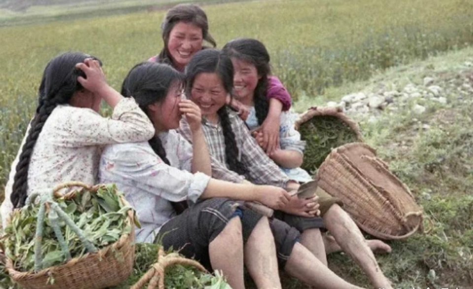 1985年湖北。上个世纪，姑娘们在黄冈的农村地里挖野菜。据老家人说，农田分户后闲