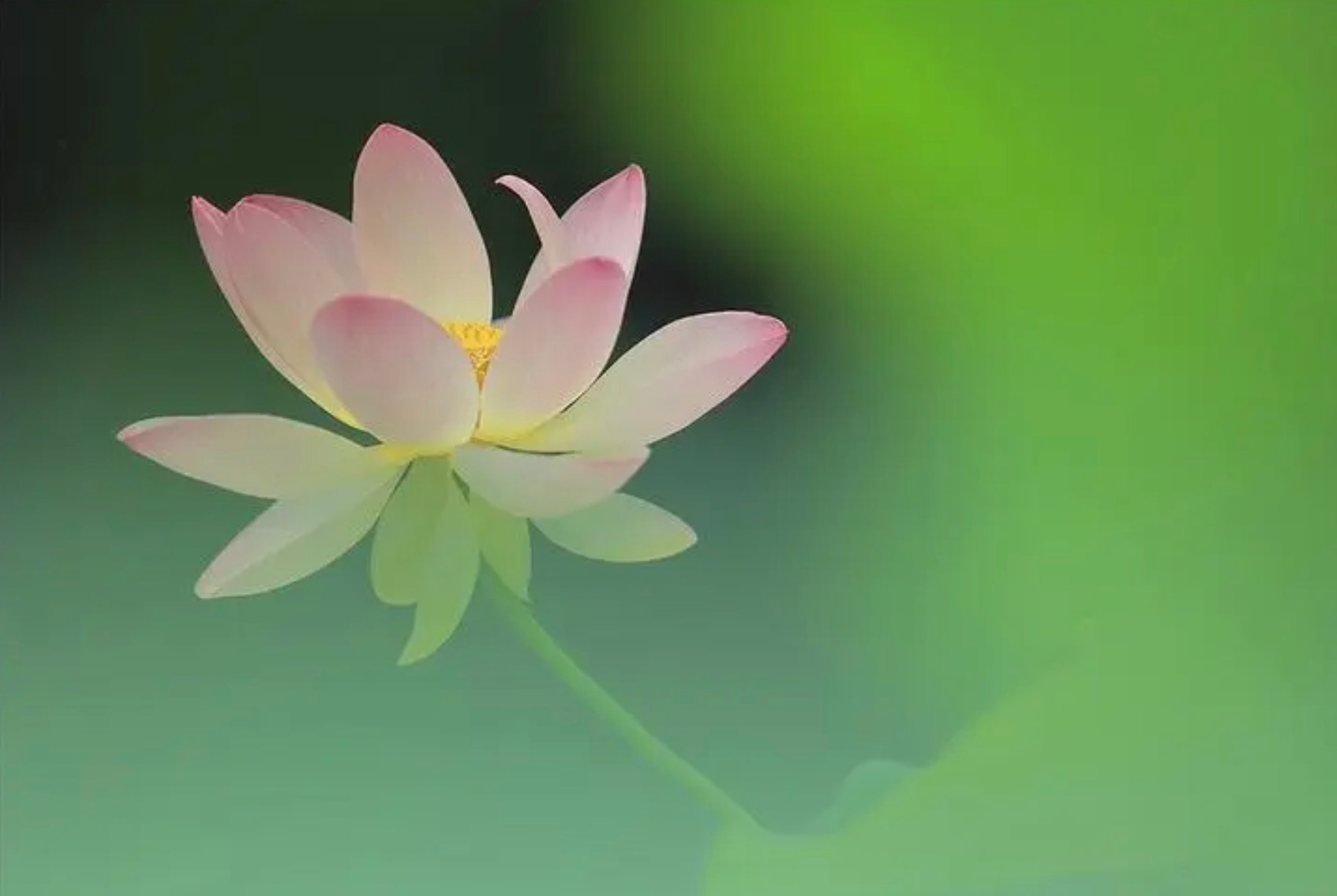 【阴谴】纪晓岚先生自述——官员强奸仆妇，罪止于罚扣俸禄，因为家庭亲近，暧昧难以明