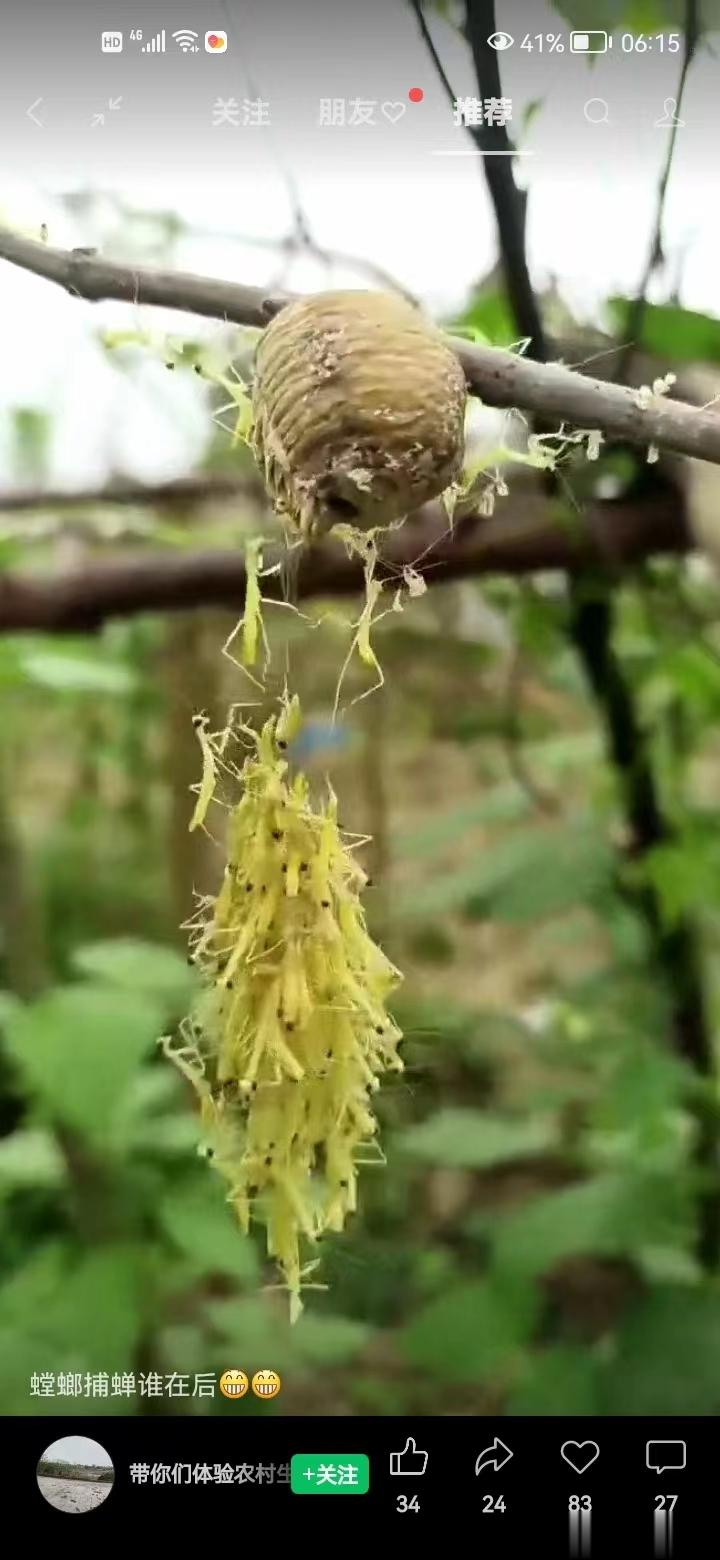 有咳喘病的看过来，这个方叫一二三四五六汤，很珍贵！收藏吧，免得需要的时候又找不到