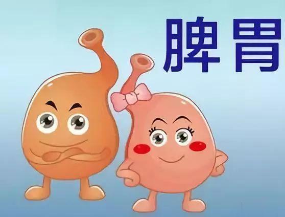 脾胃以“饿”为补，饿一饿，十年