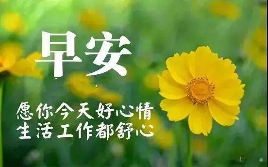 一日之计在于晨，愿我这阳光初露时的小小问候能将快乐带给你 ​​​